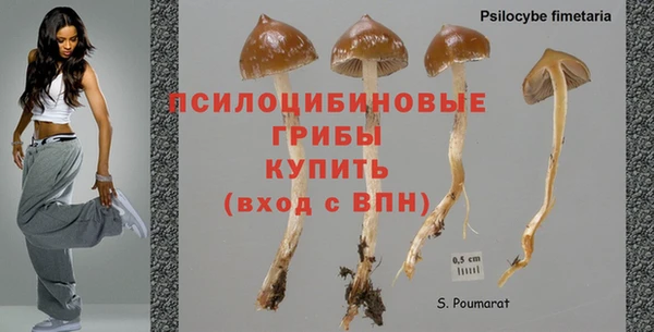 марихуана Ессентукская